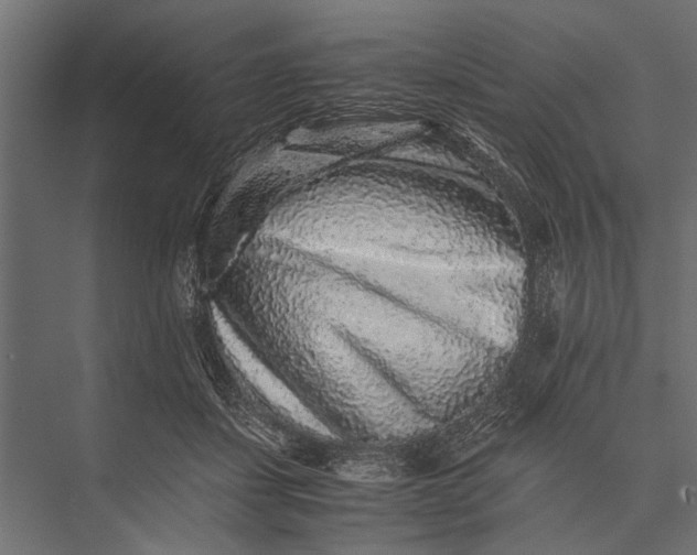 X0000076070459200610061606