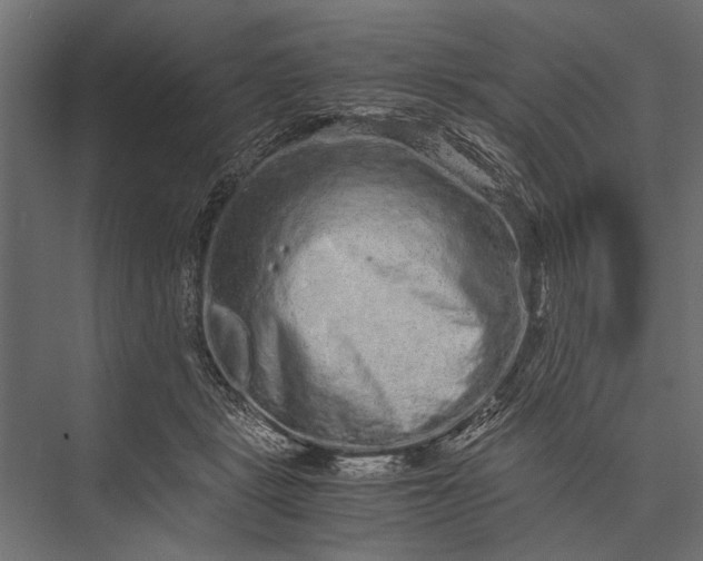 X0000076070461200610061606