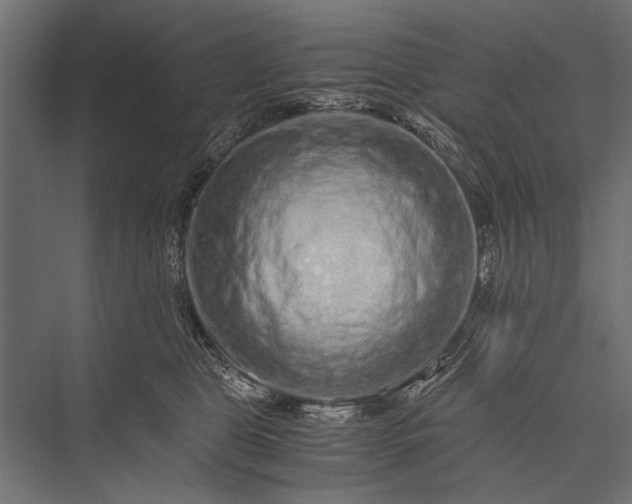 X0000076070469200610061607