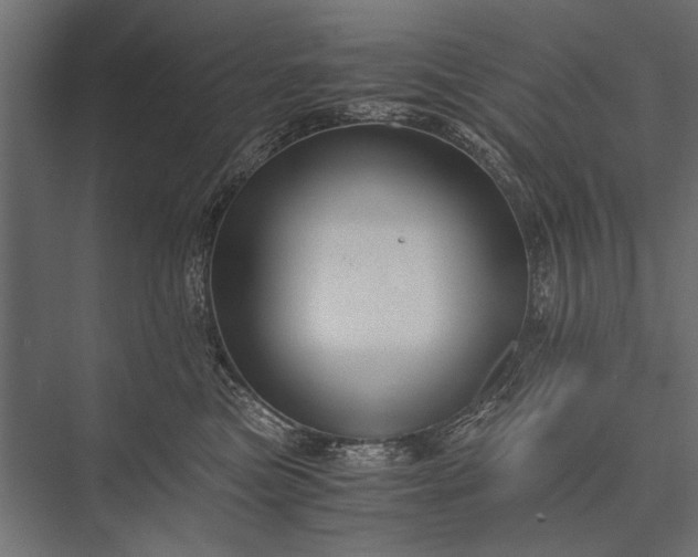 X0000076070473200610061607