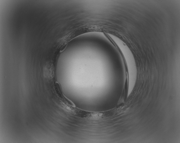 X0000076070474200610061607