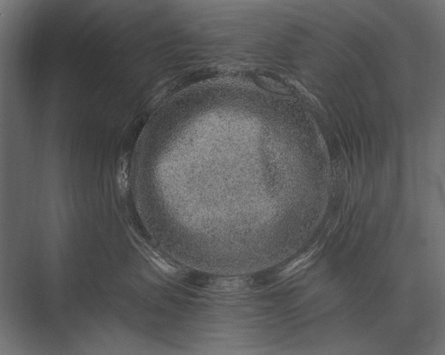 X0000076070479200610061607