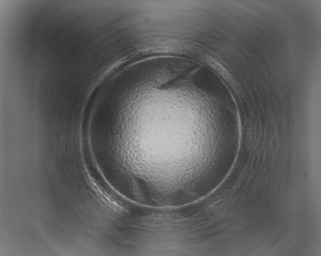 X0000076070482200610061606