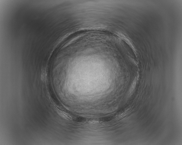 X0000076070483200610061606
