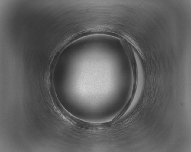 X0000076070485200610061606