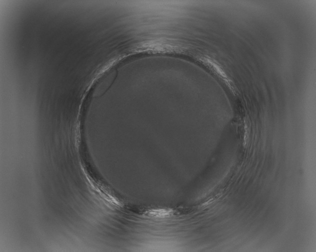 X0000076070488200610061606