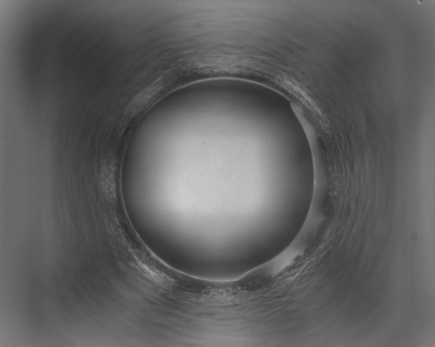 X0000076070489200610061606