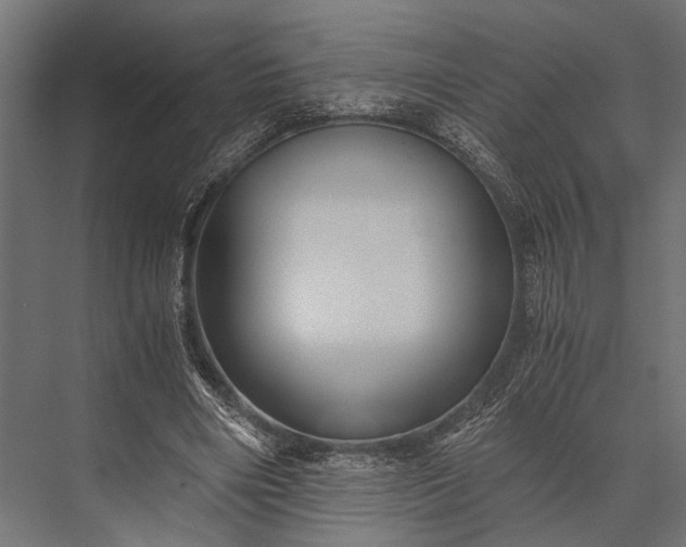X0000076070490200610061606