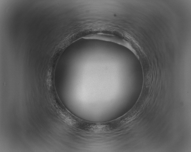 X0000076070497200610061606