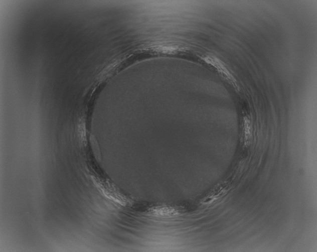 X0000076070500200610061606
