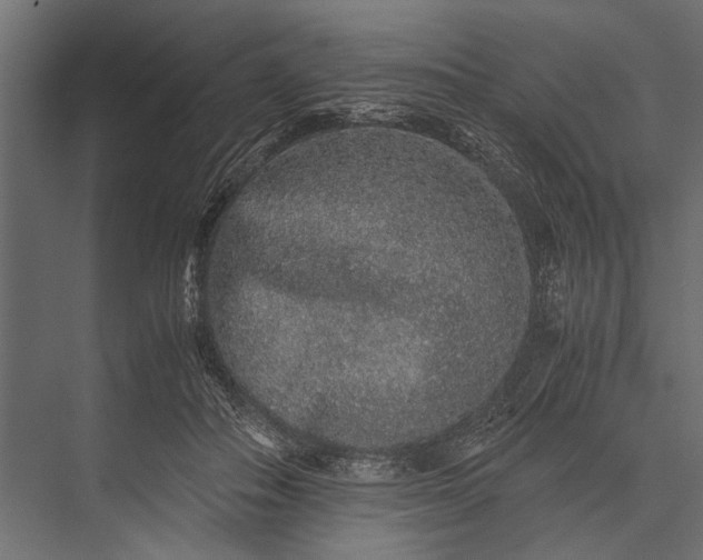 X0000076070506200610061606