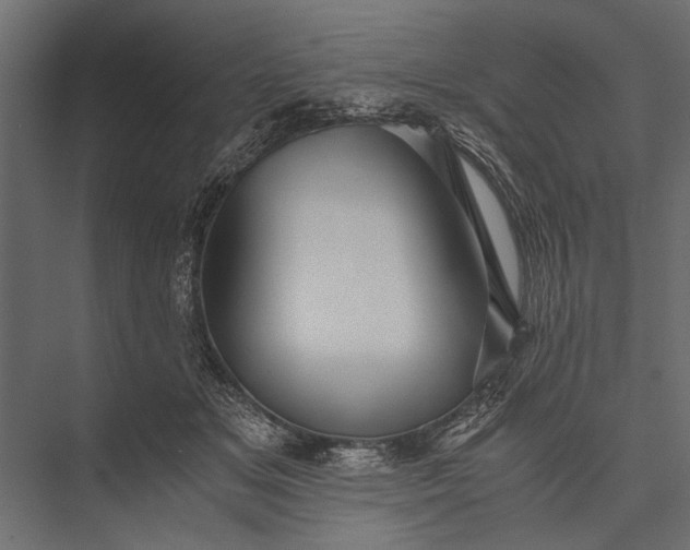 X0000076070509200610061605