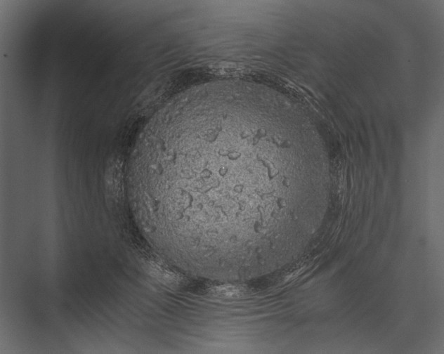 X0000076070511200610061605