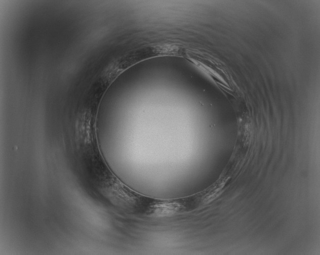 X0000076070525200610061605