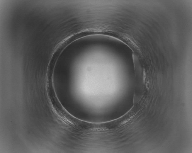 X0000076070536200610061604