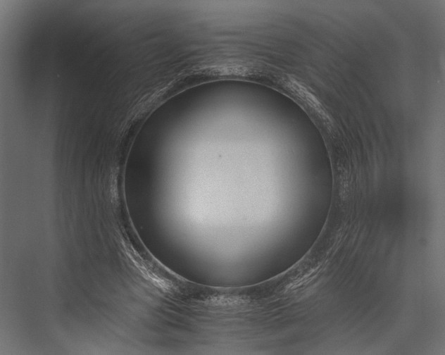 X0000076070537200610061604
