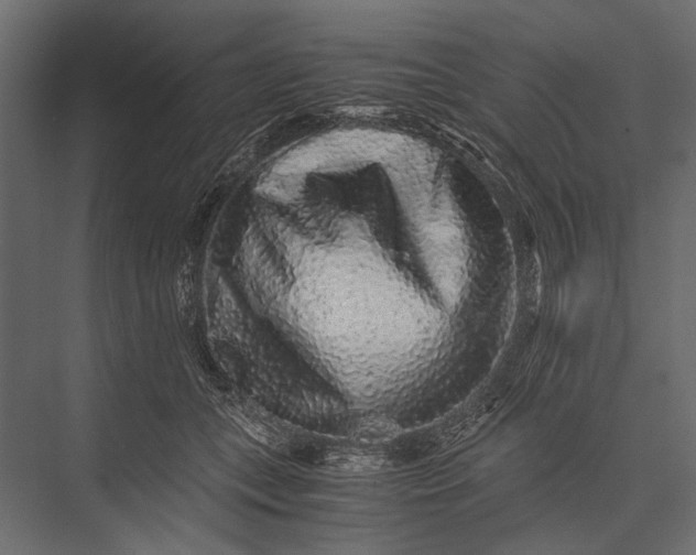 X0000076070559200610061605