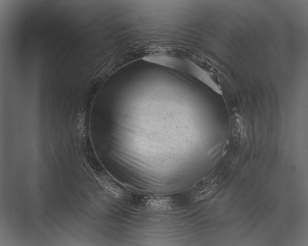 X0000076070560200610061605