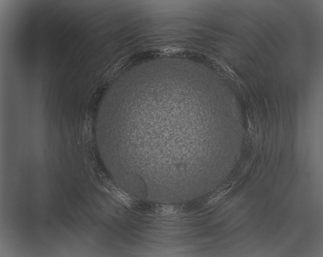 X0000076070565200610061605