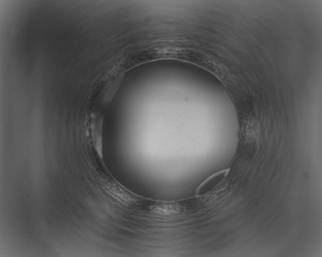 X0000076070567200610061605