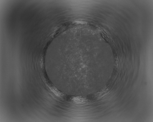 X0000076070568200610061605