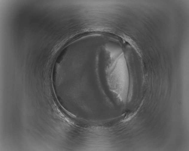 X0000076070577200610061604