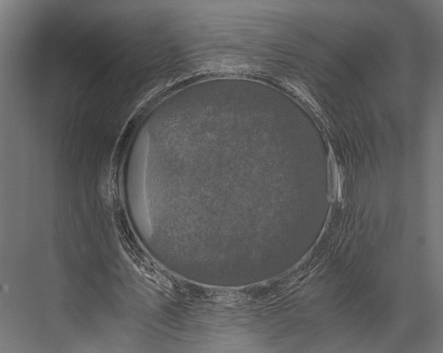 X0000076070579200610061604