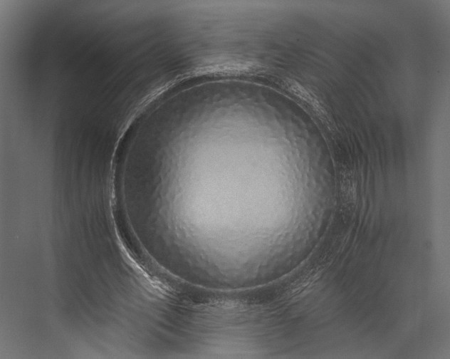 X0000076070582200610061604
