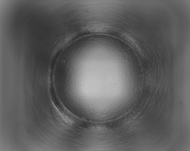 X0000076070586200610061604