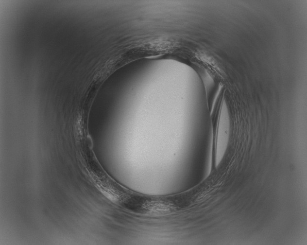 X0000076070597200610061604