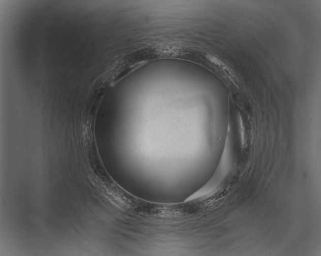 X0000076070601200610061604