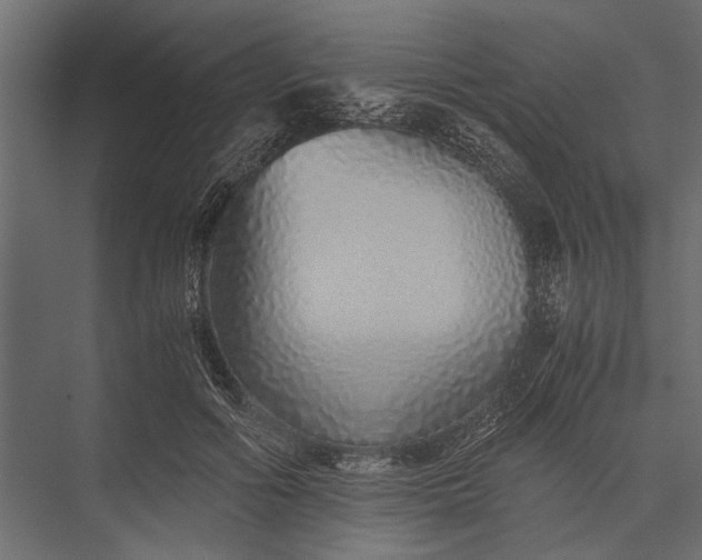 X0000076070602200610061604