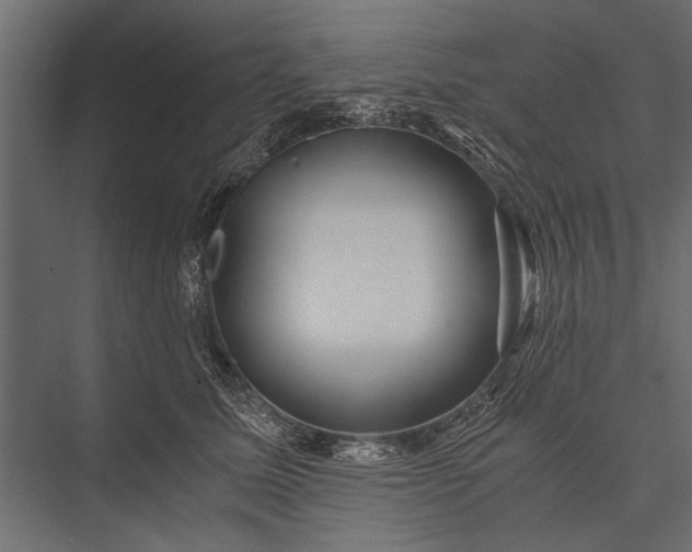 X0000076070611200610061604