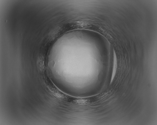 X0000076070615200610061604