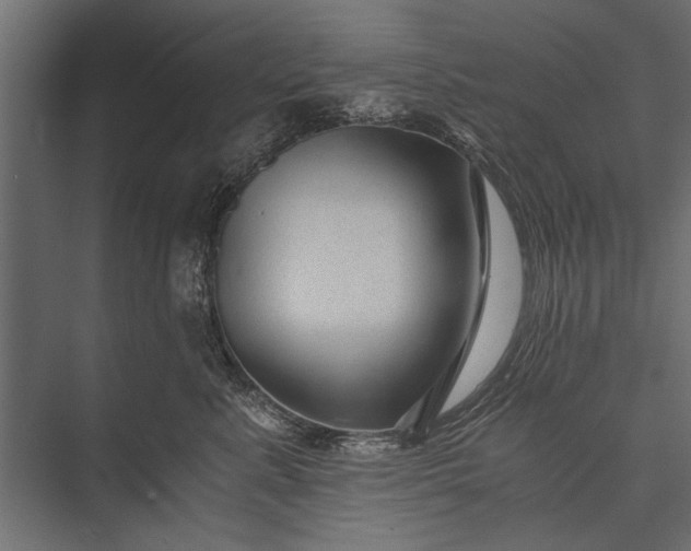 X0000076070619200610061604