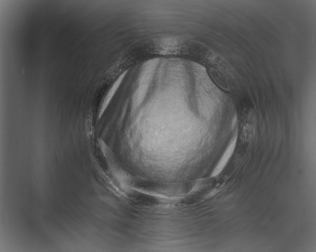 X0000076070620200610061604