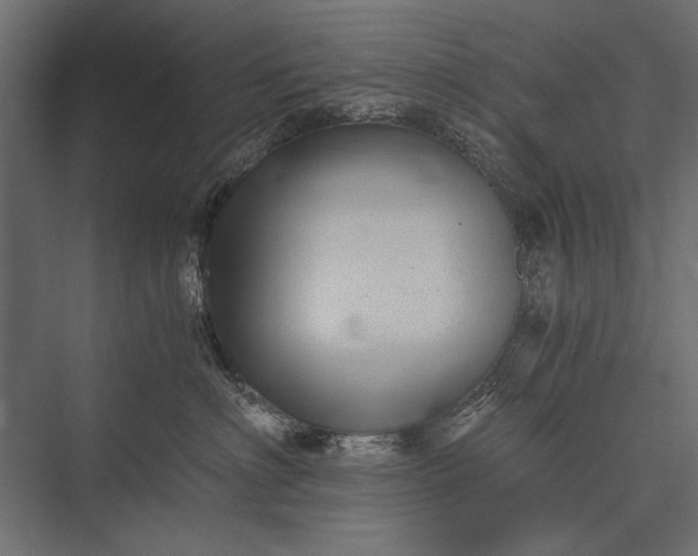 X0000076070622200610061604