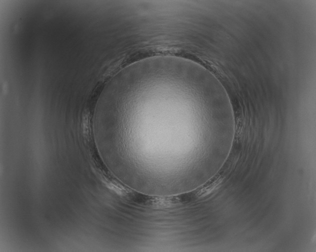 X0000076070623200610061604