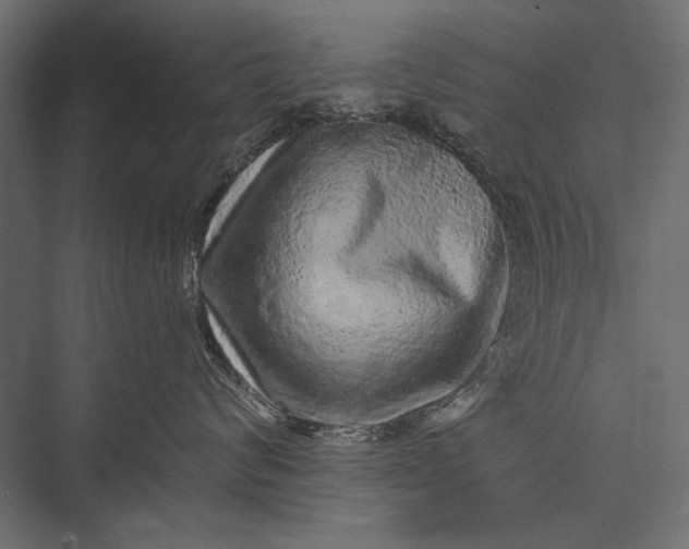 X0000076070624200610061604