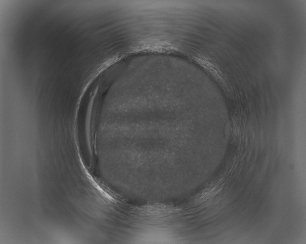 X0000076070630200610061603