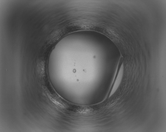 X0000076070646200610061603