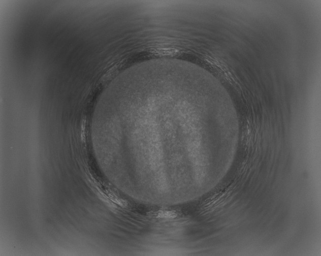 X0000076070647200610061603
