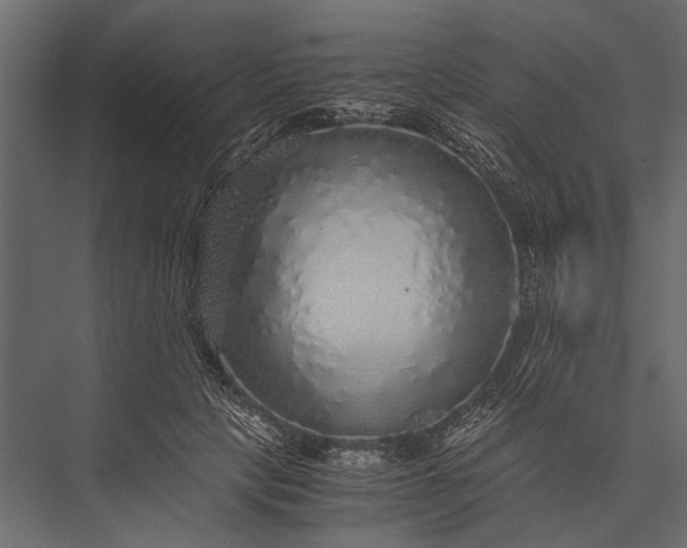 X0000076070649200610061603