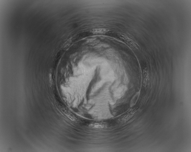 X0000076070655200610061603