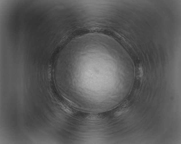 X0000076070664200610061603