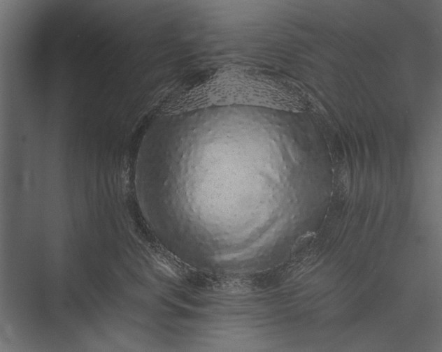 X0000076070668200610061603