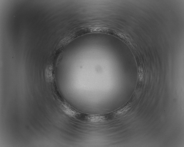 X0000076070670200610061603
