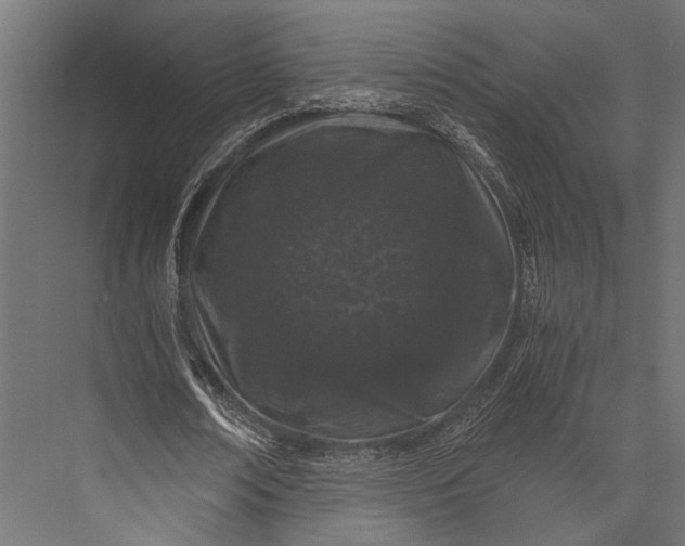 X0000076070674200610061603