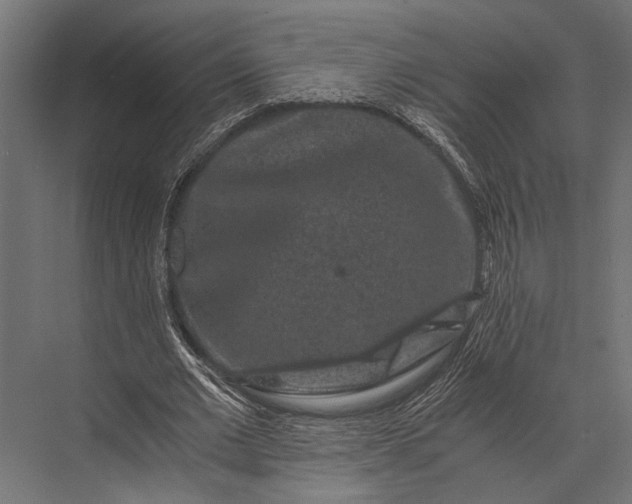 X0000076070677200610061603