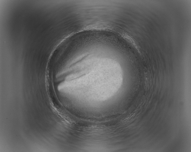 X0000076070680200610061603